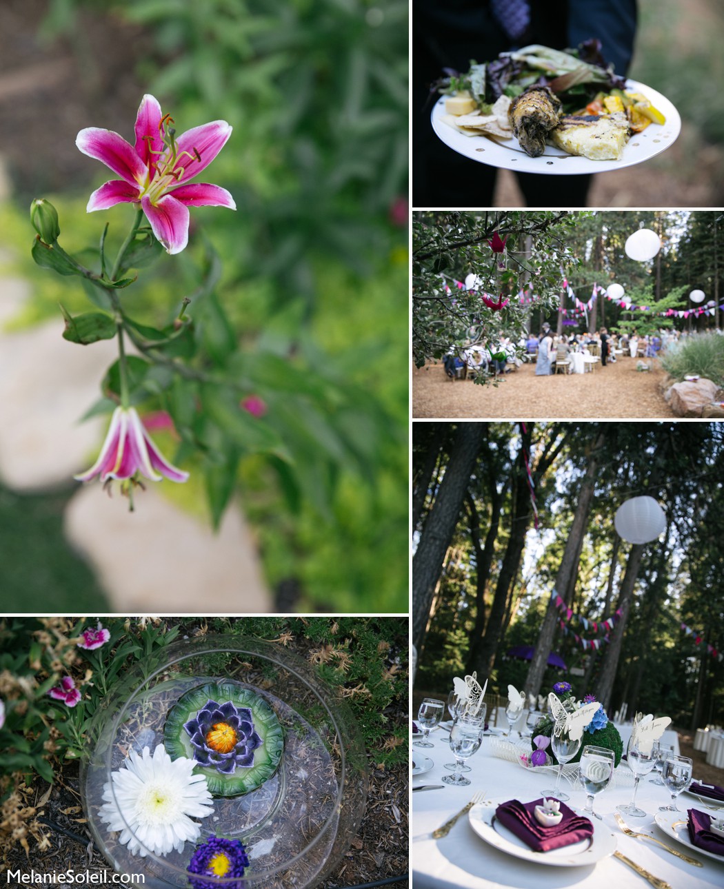 Harmony Ridge Lodge wedding photo garden details