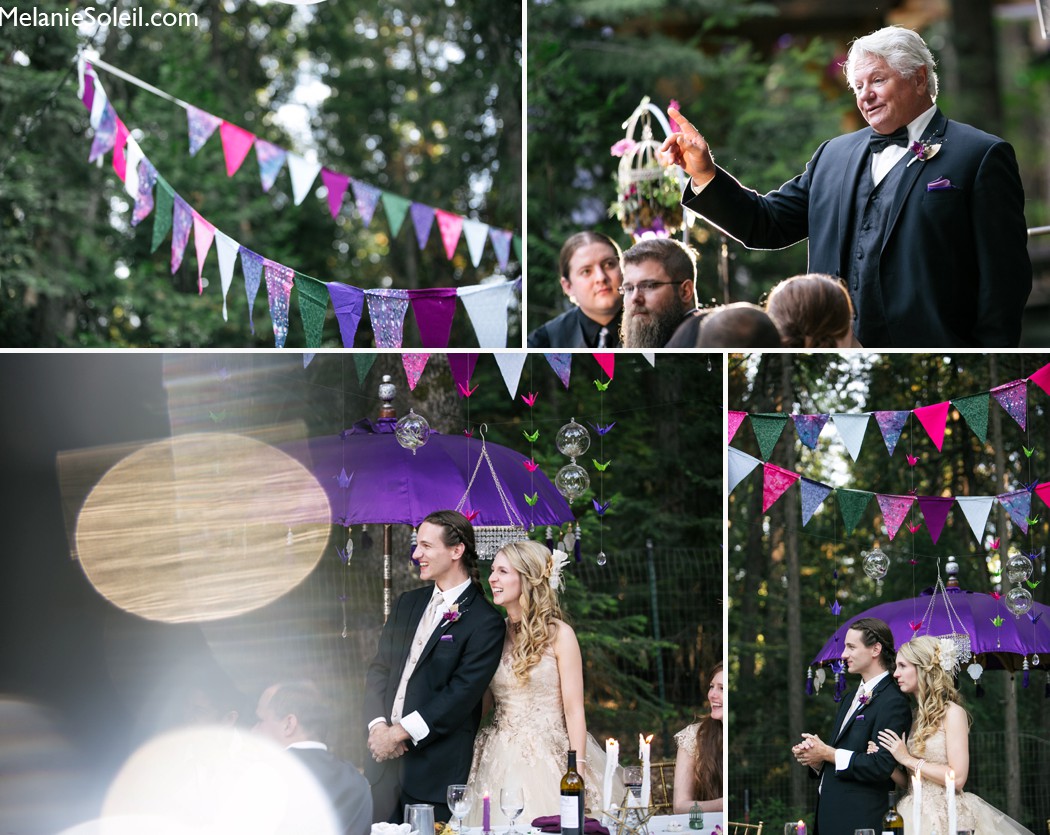 Harmony Ridge Lodge garden wedding toasts