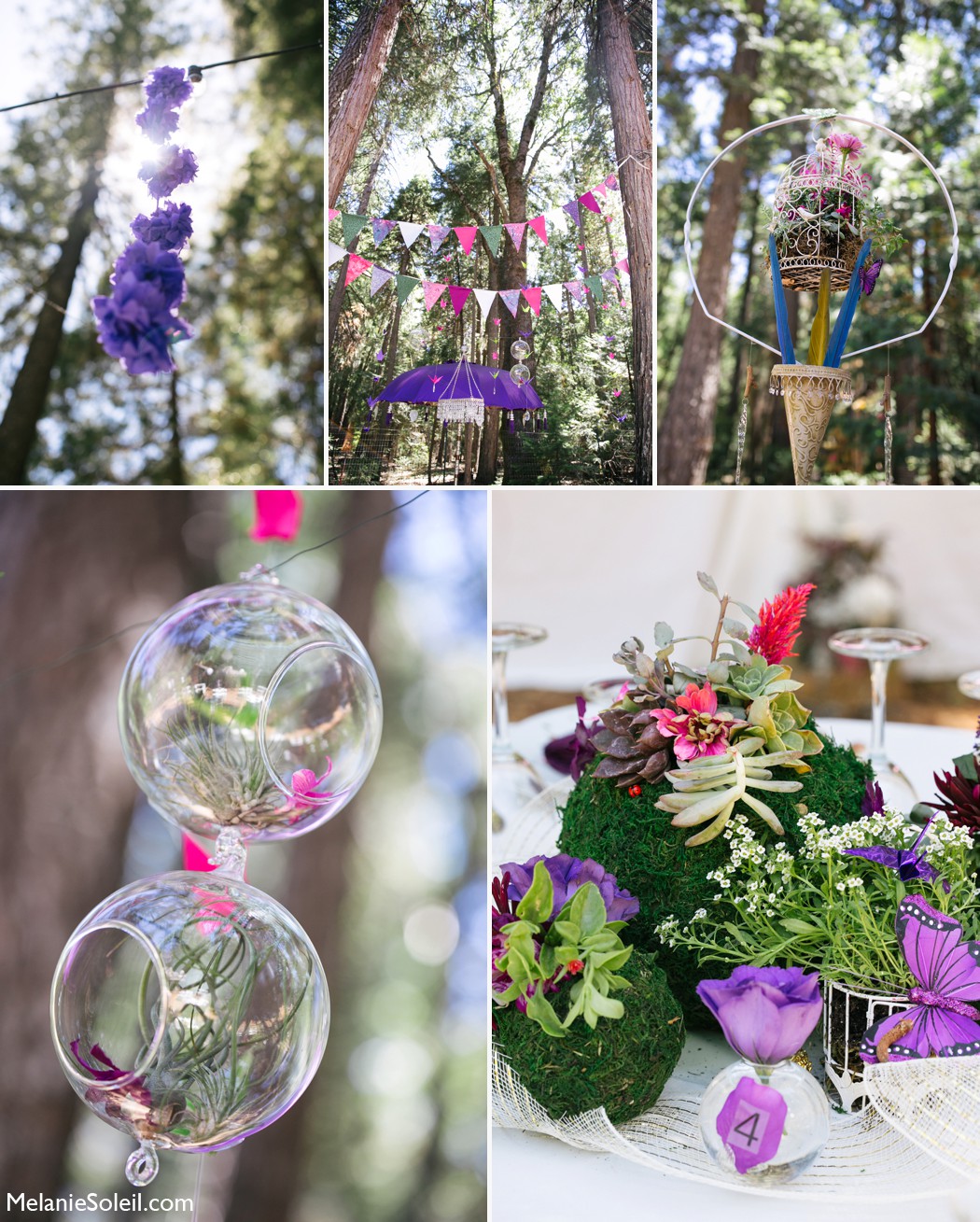 Harmony Ridge Lodge garden wedding details purple