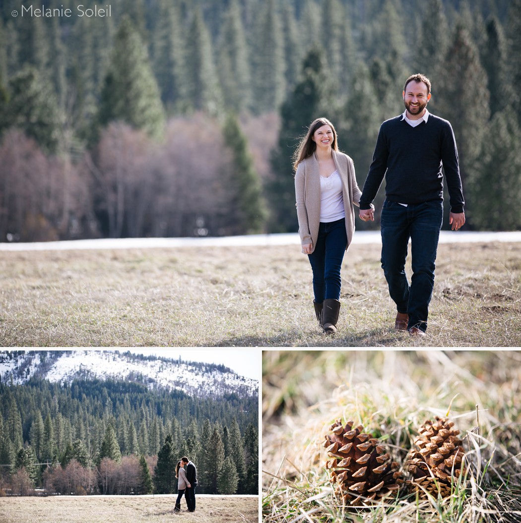 Lake Tahoe engagement session photos in the meadow