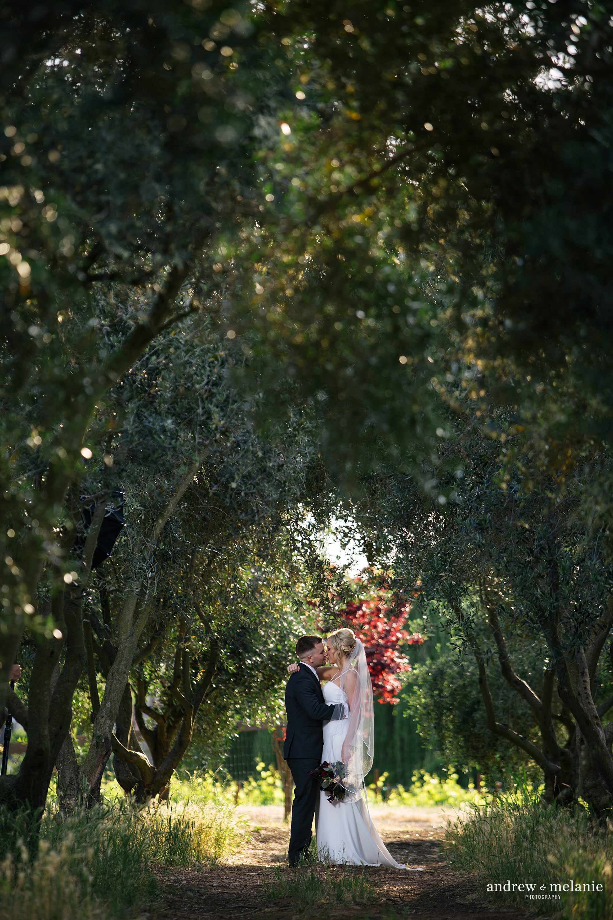 Wolfe Heights Event Center in Sacramento, CA. Spring wedding photos in the olive grove