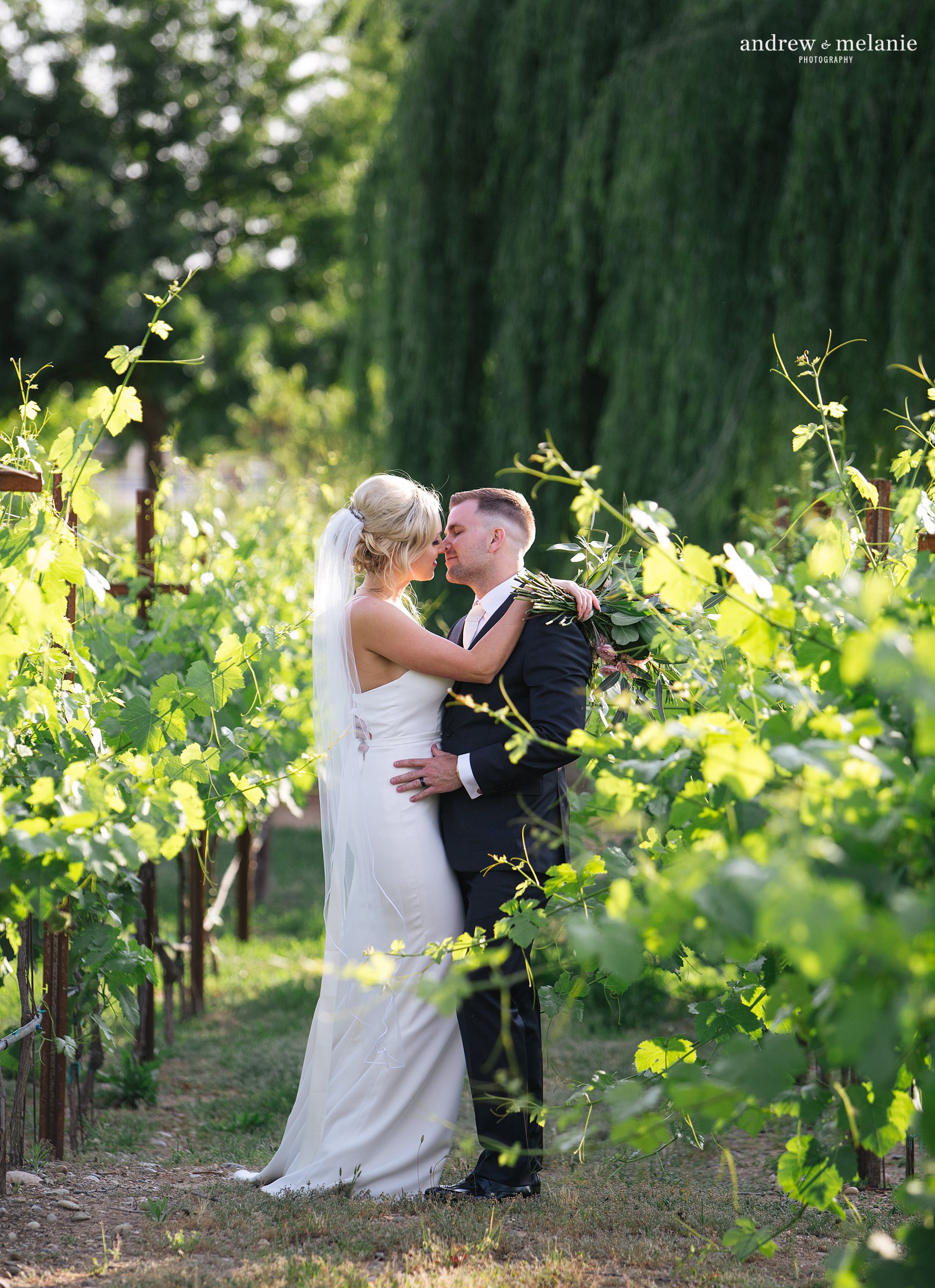 Wolfe Heights Event Center in Sacramento, CA. Spring wedding photos in the vineyard