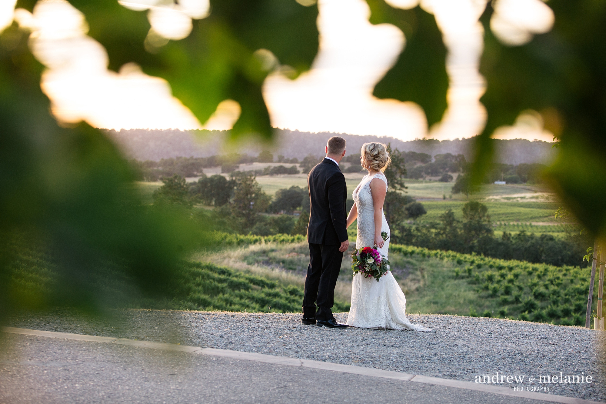 bride and groom sunset wedding photos at Helwig Winery