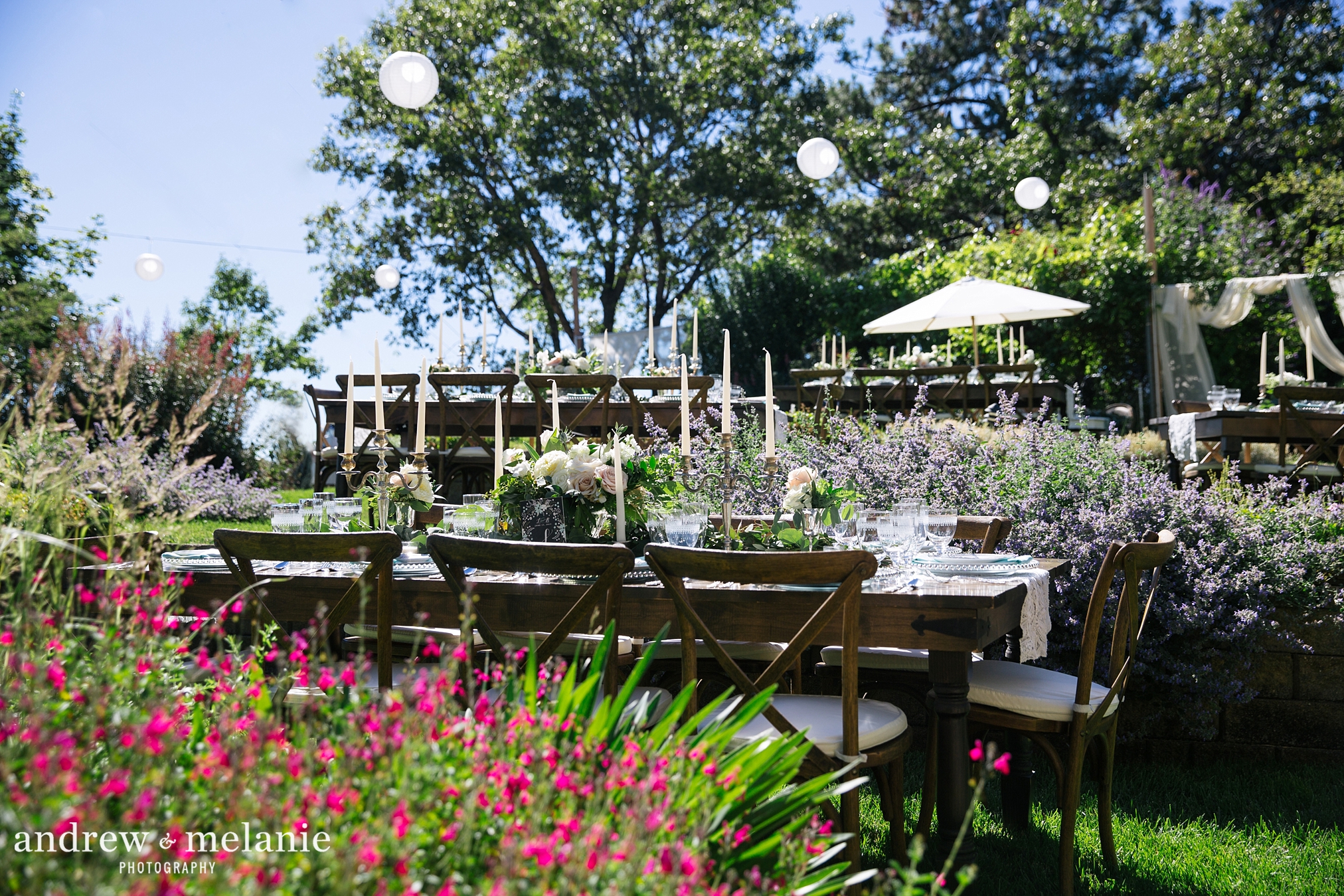 Elegant farm tables for garden wedding Luchessi Vineyards, CA